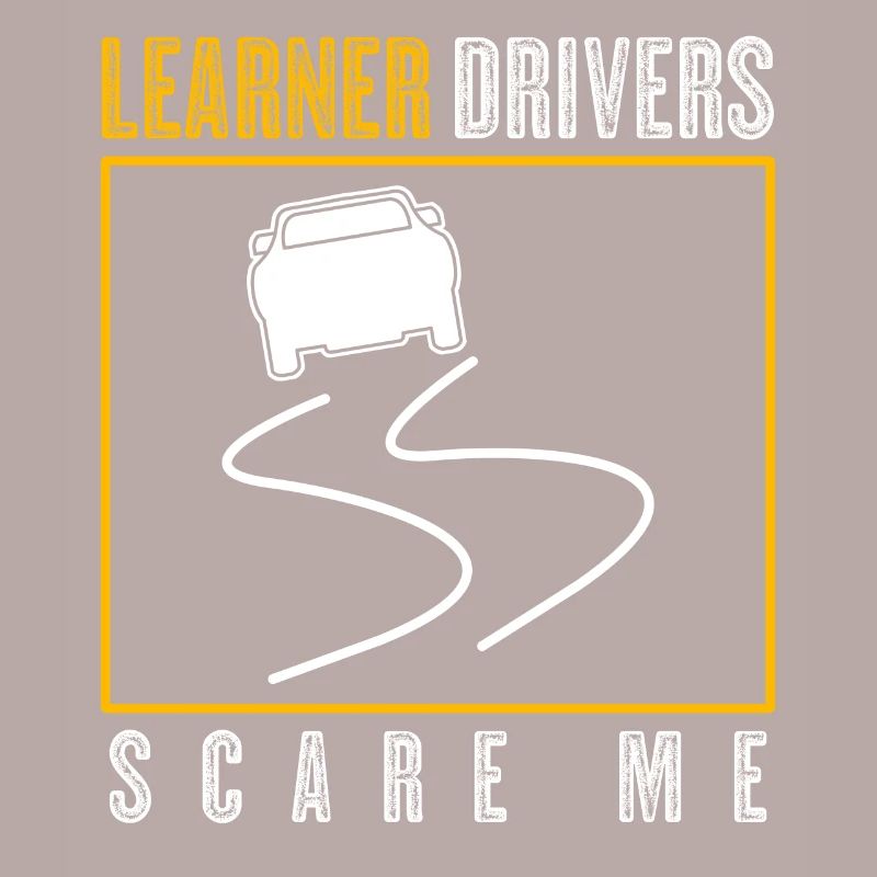 Driving Instructor Learner Driver