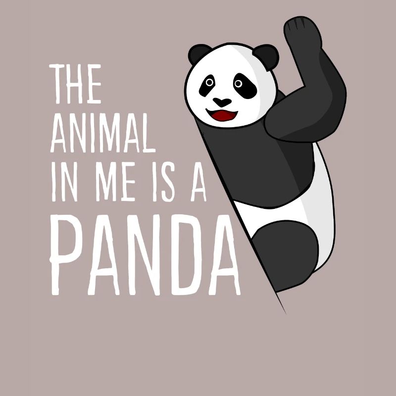 Panda Ours Pandas Panda Géant