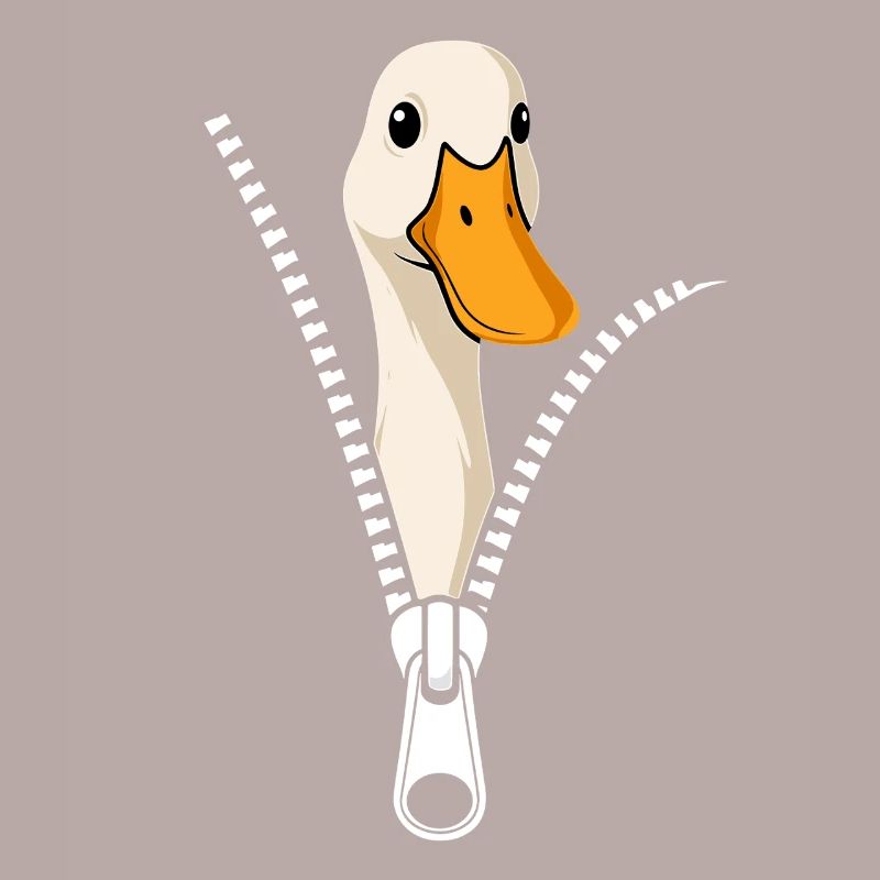 Runner Ducks Runner Duck Accessoires Funny Ducks