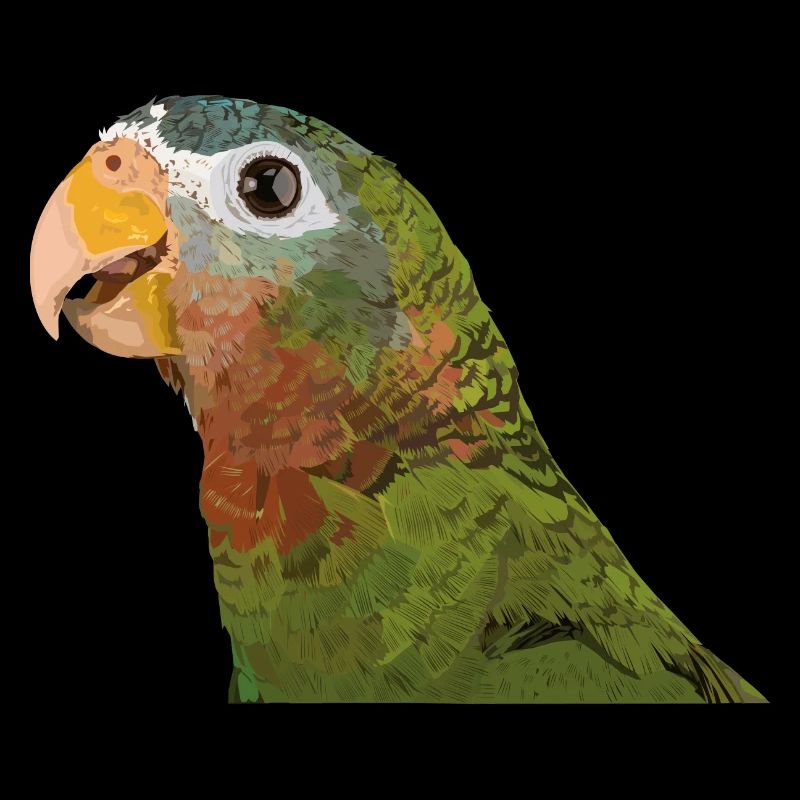 Amazonas mit gelber Rechnung