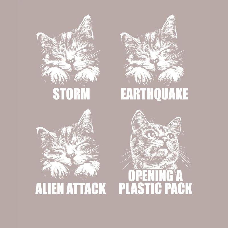 Chat - perception sélective - dire