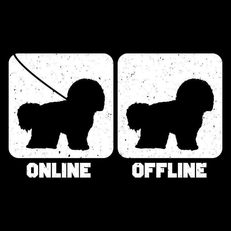 Bichon Frise