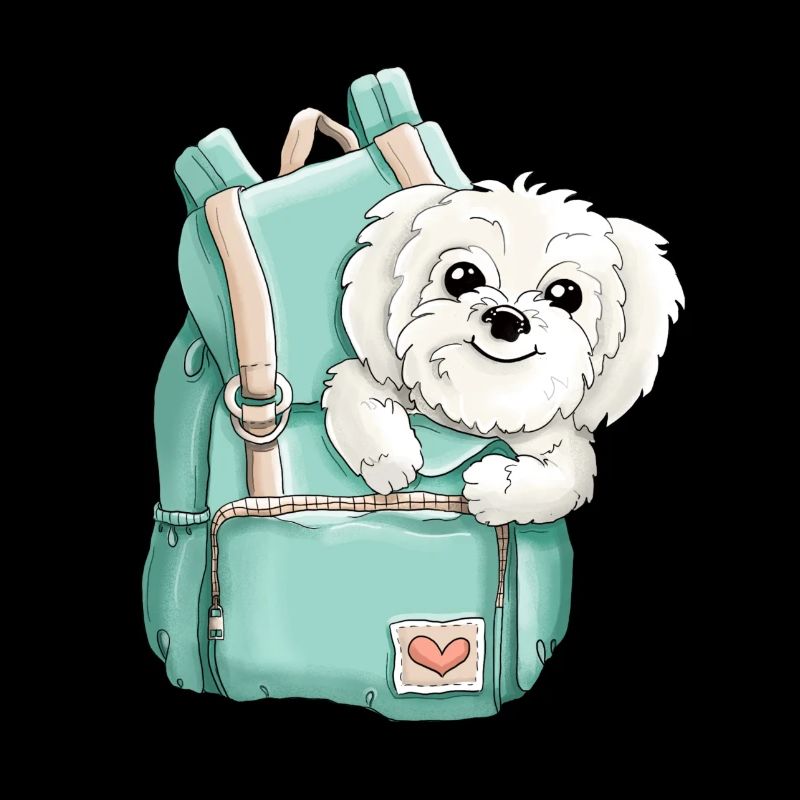 Maltese