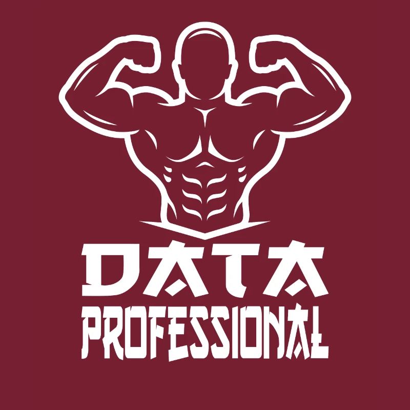 Daten Analytiker Datenschutz Beauftragter