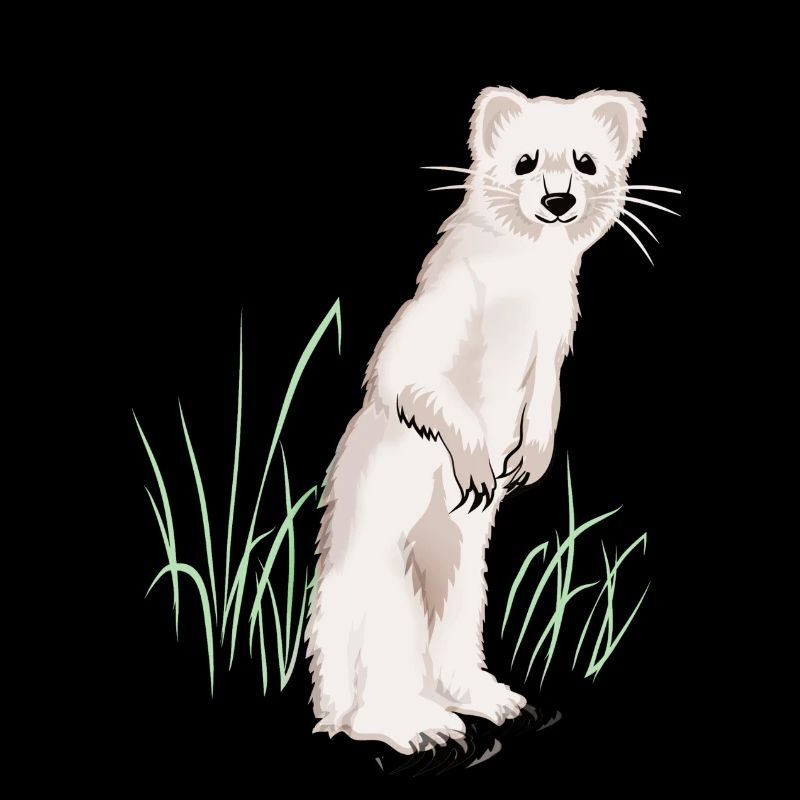 Meadow with weasel