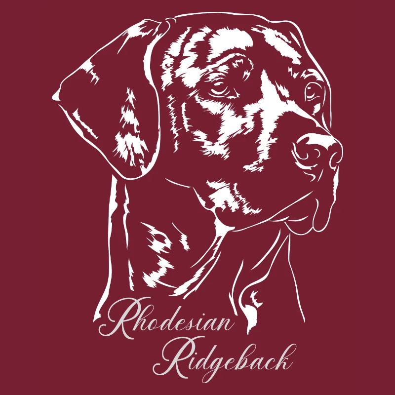 RHODESIAN RIDGEBACK Wilsigns Hunde Portrait