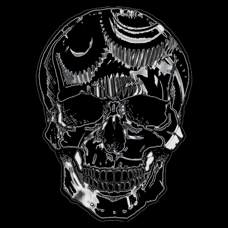 CIA Skull Transparent