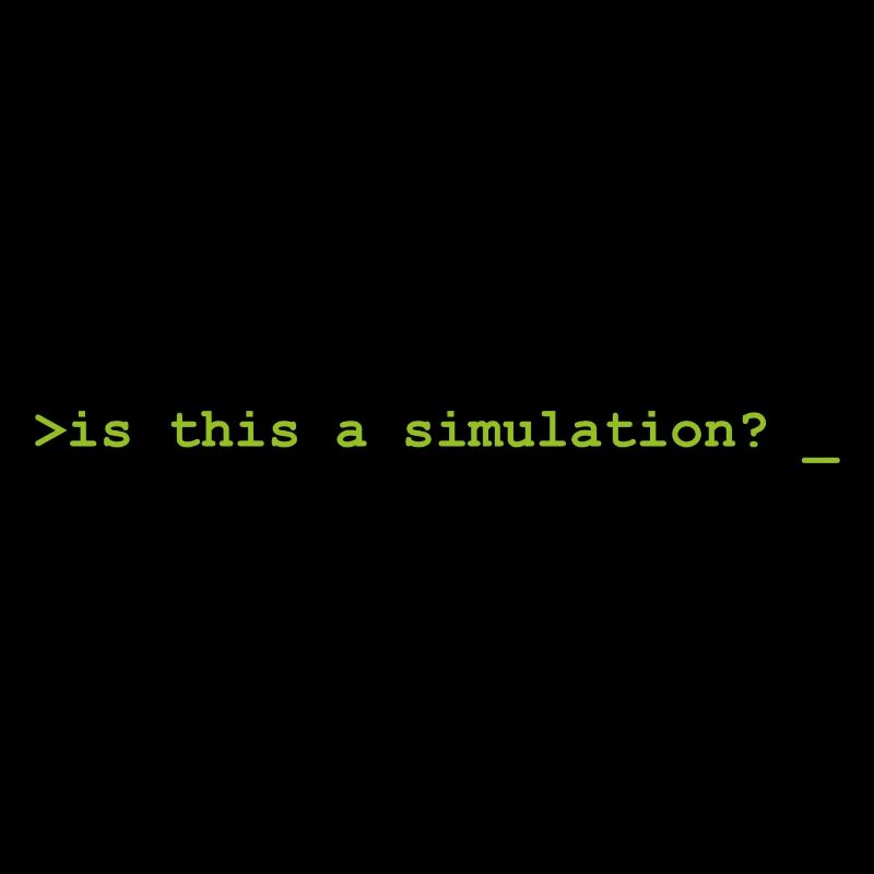 Is this a simulation Programming Informatik