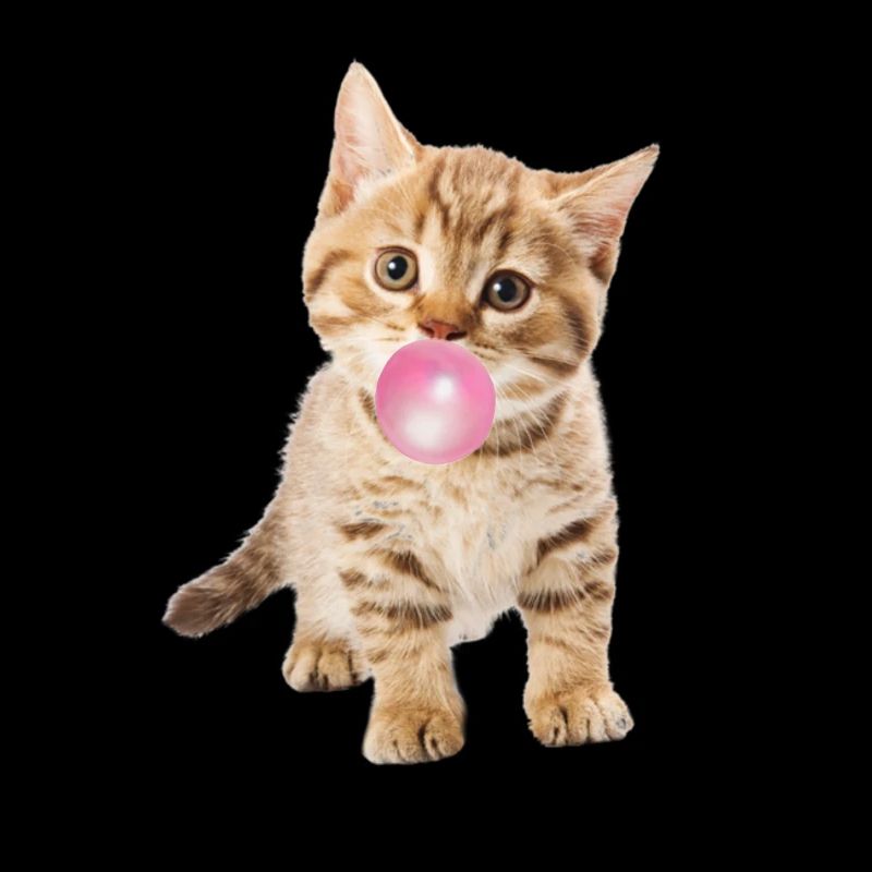 Nette Katze bläst rosa Bubblegum