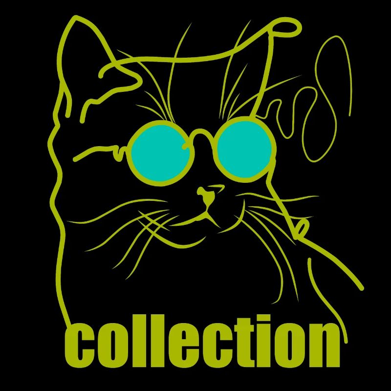 Garçon de chat