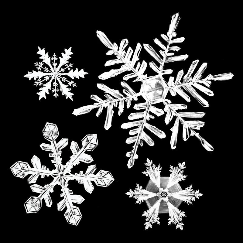 hiver