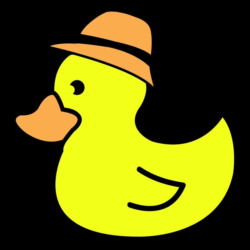 Chapeau de canard