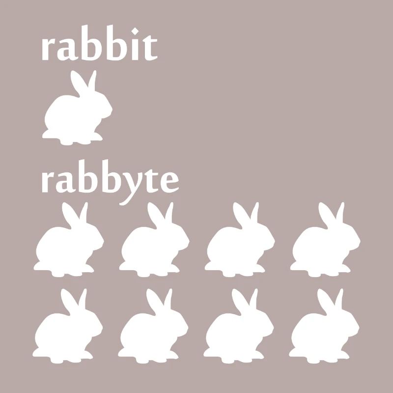 Programmierer Informatiker byte Rabbit Geschenk