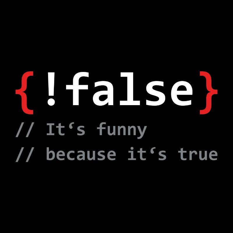 False it`s funny because it`s true Programmierer