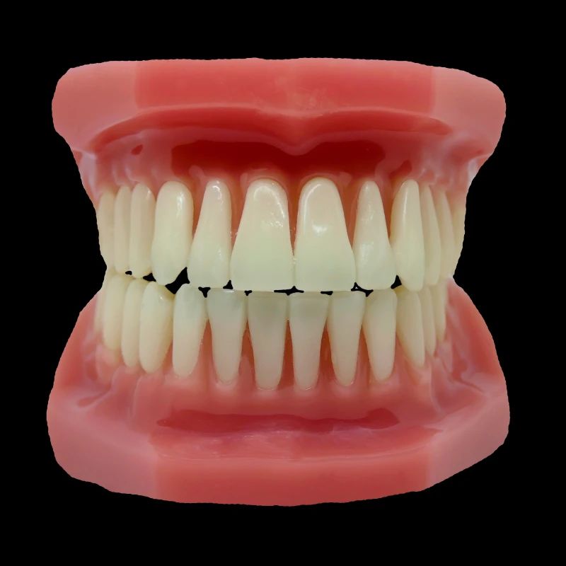 Les dents