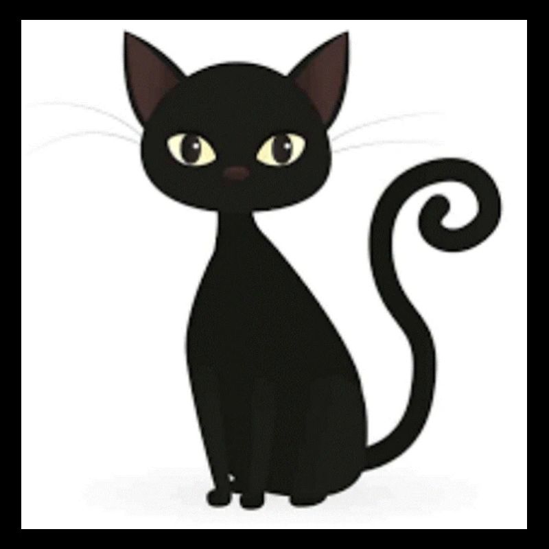 chat noir