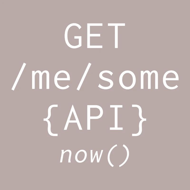 Api programming informatic gift saying