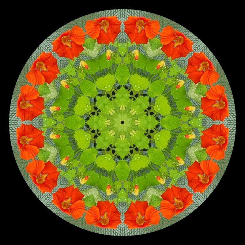 Mandala-Quantum 10