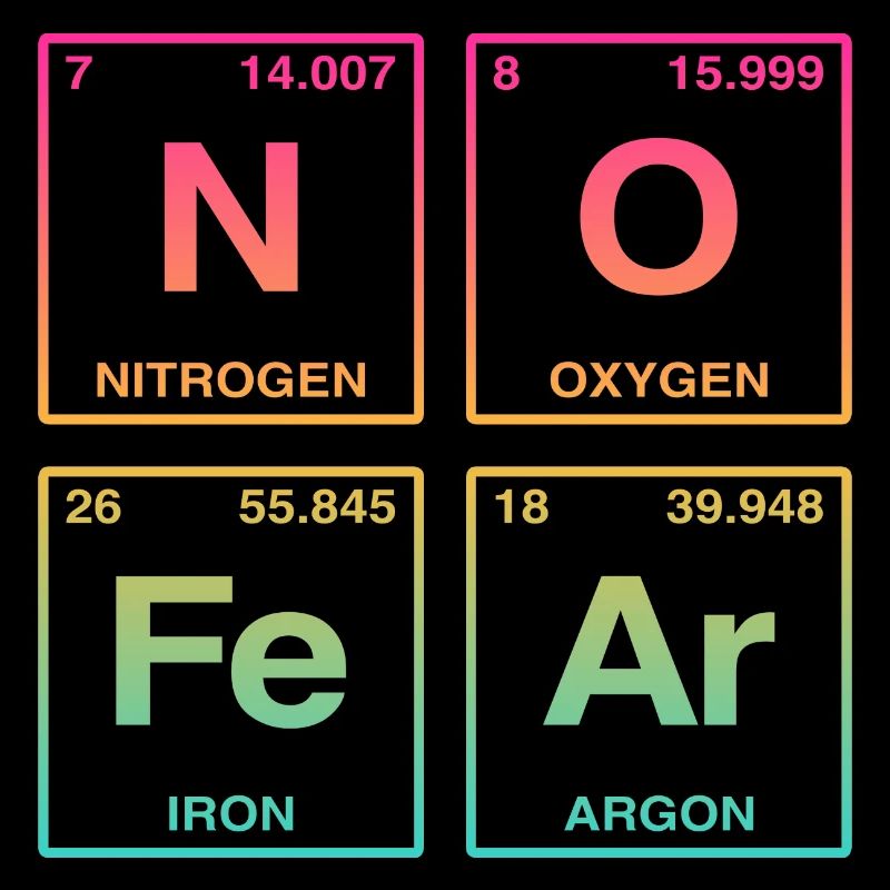 NO FEAR - avec des éléments du système de perdiode