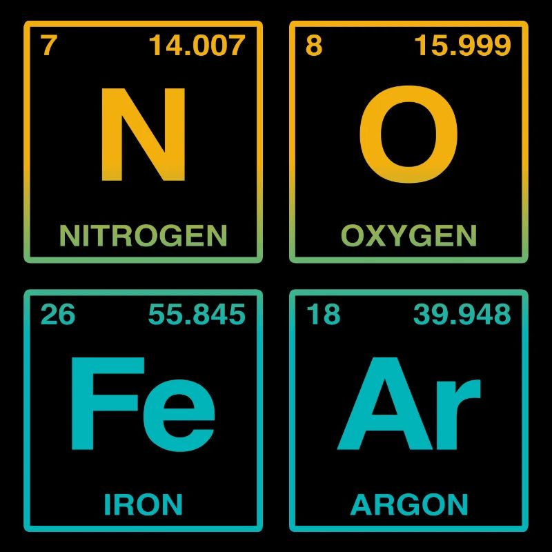 NO FEAR - avec des éléments du système de perdiode