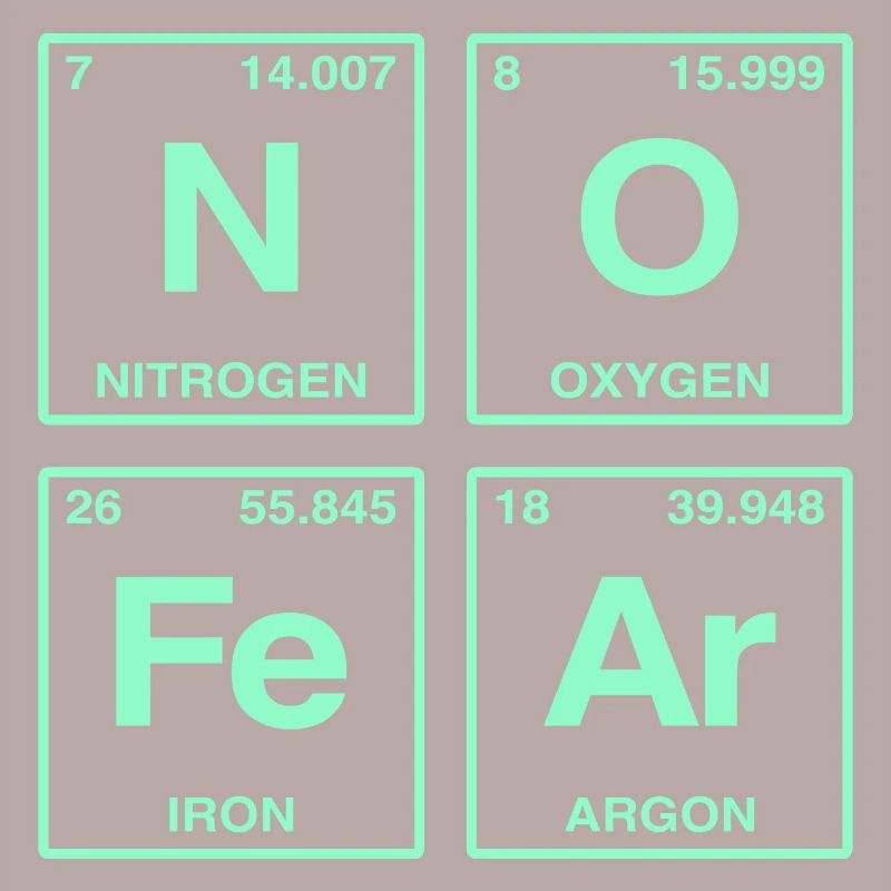 NO FEAR - avec des éléments du système de perdiode