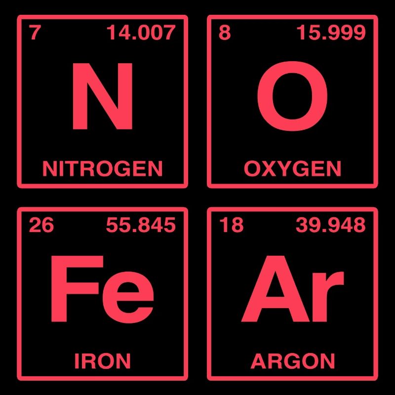NO FEAR - avec des éléments du système de perdiode