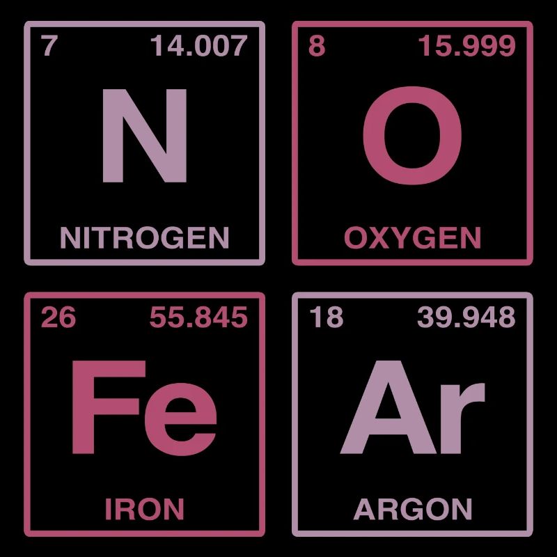 NO FEAR - avec des éléments du système de perdiode