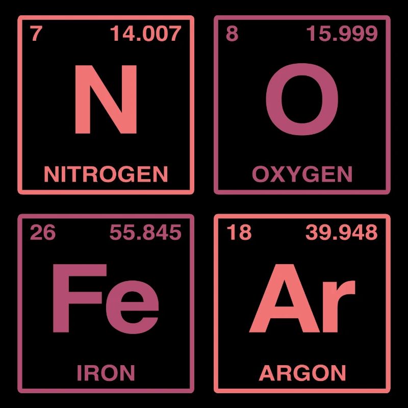 NO FEAR - with elements of the perdiode system