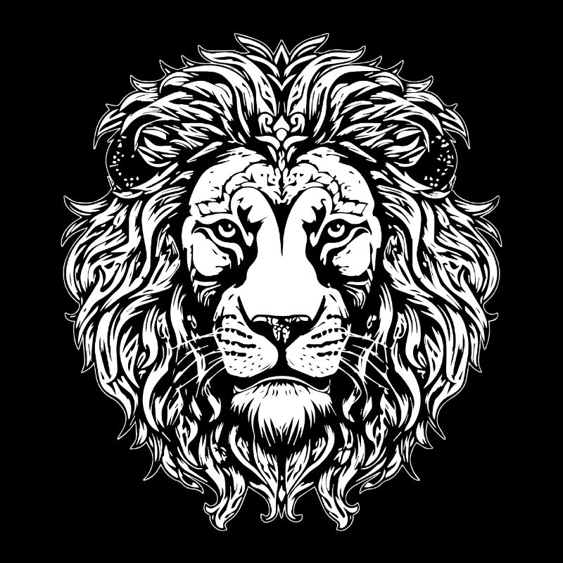 Lion Lion Head Predator