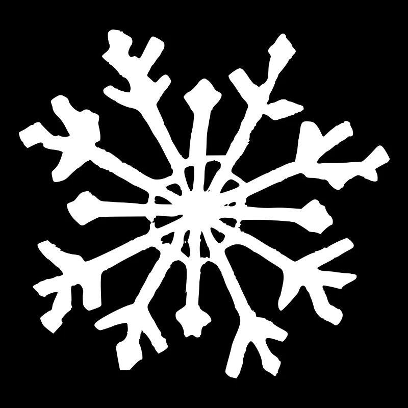 Snowflake Snow Winter Christmas Cold 13