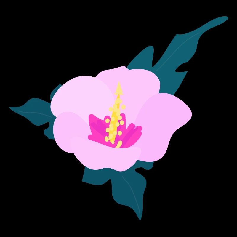 Fleur d’hibiscus 2