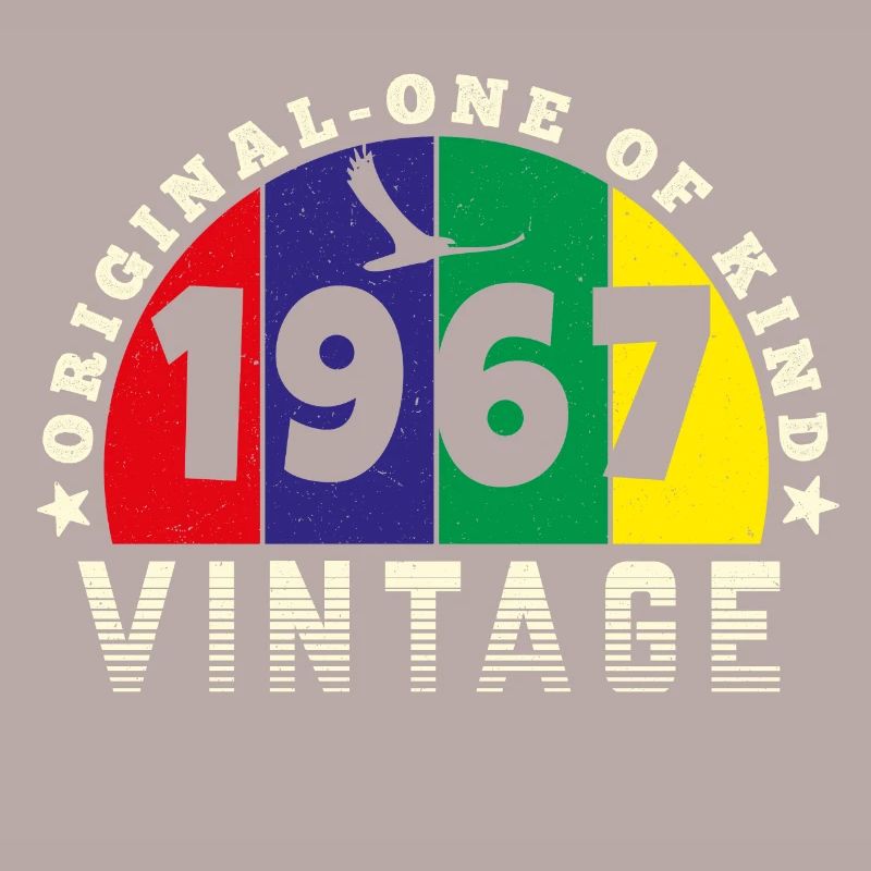 Vintage 1967 Retro - Bursdag