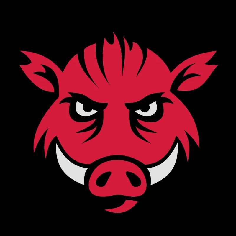 Wildschwein Gesicht 3c