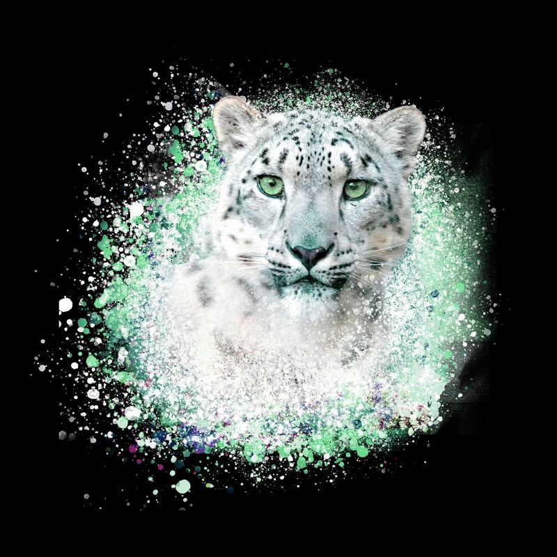 schneeleopard,katze,leopard,graffiti,wildkatze