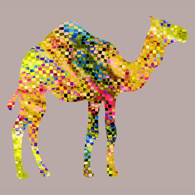 Camel