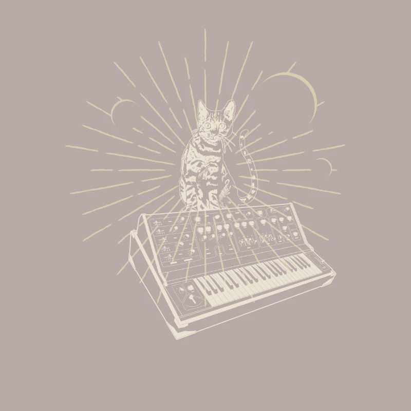 Modular Synthesizer Analog Moon Techno Acid Cat