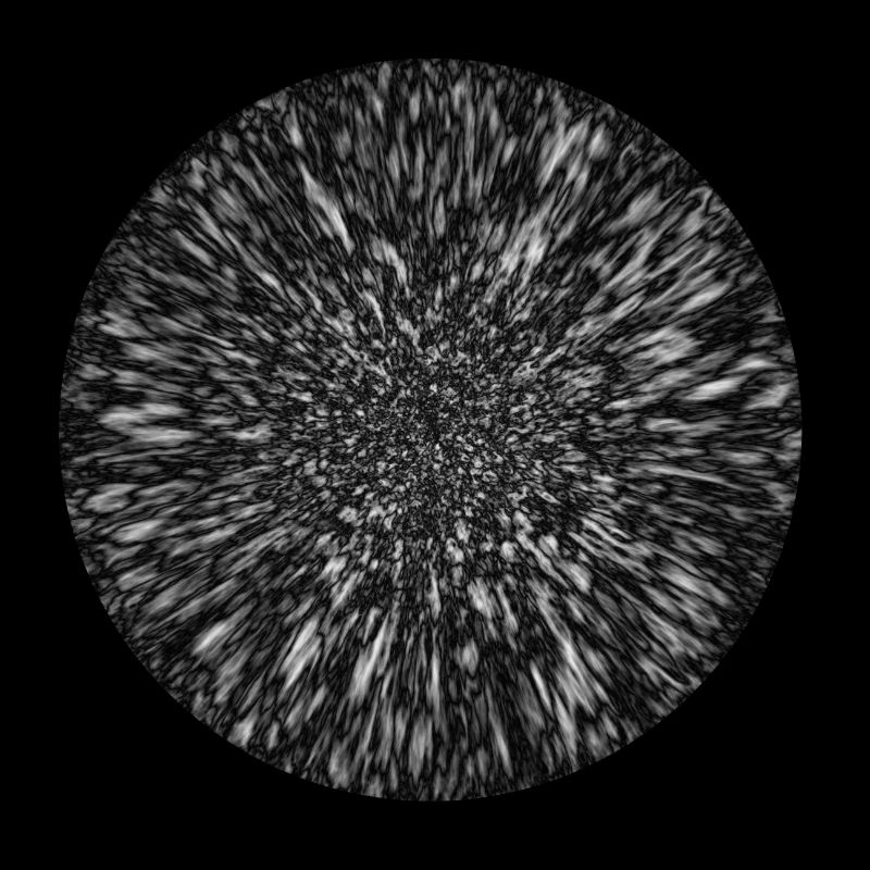 Conception de fleurs abstraites en noir et blanc
