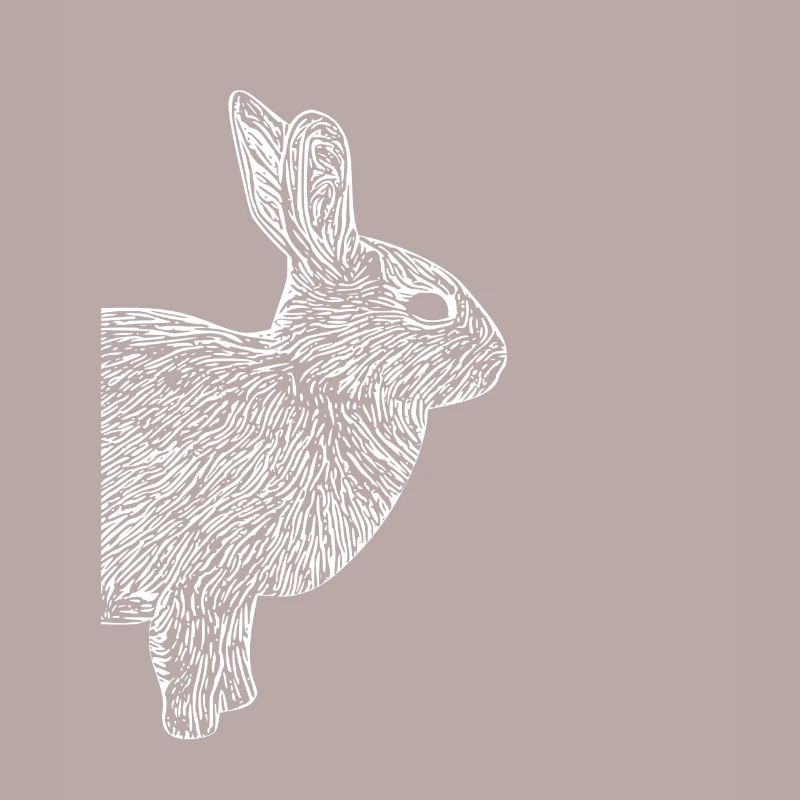 Cute Rabbit Hasi Gift