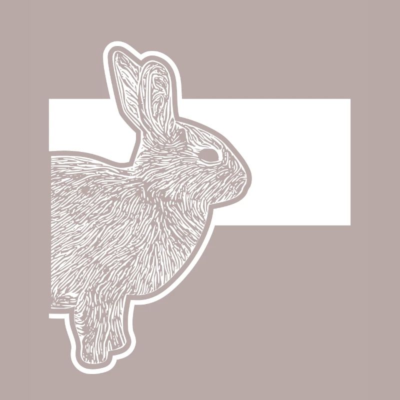 Cute Dwarf Rabbit Rabbit Breeder
