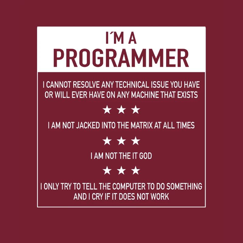 I am a programmer quote for coder