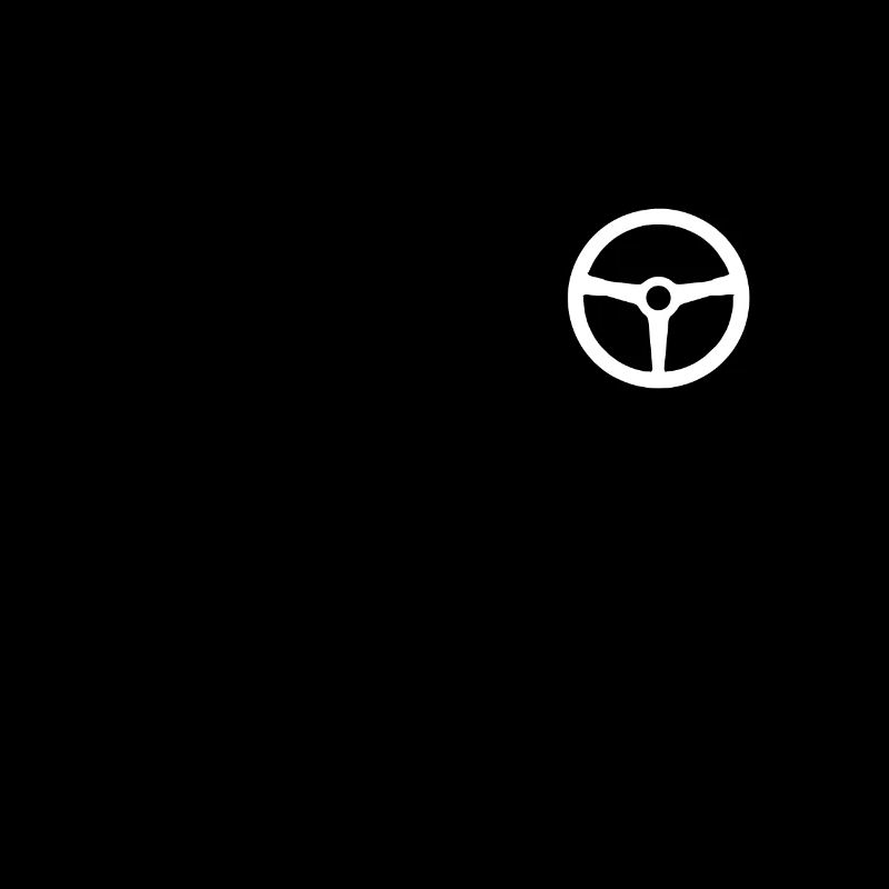 The steering wheel