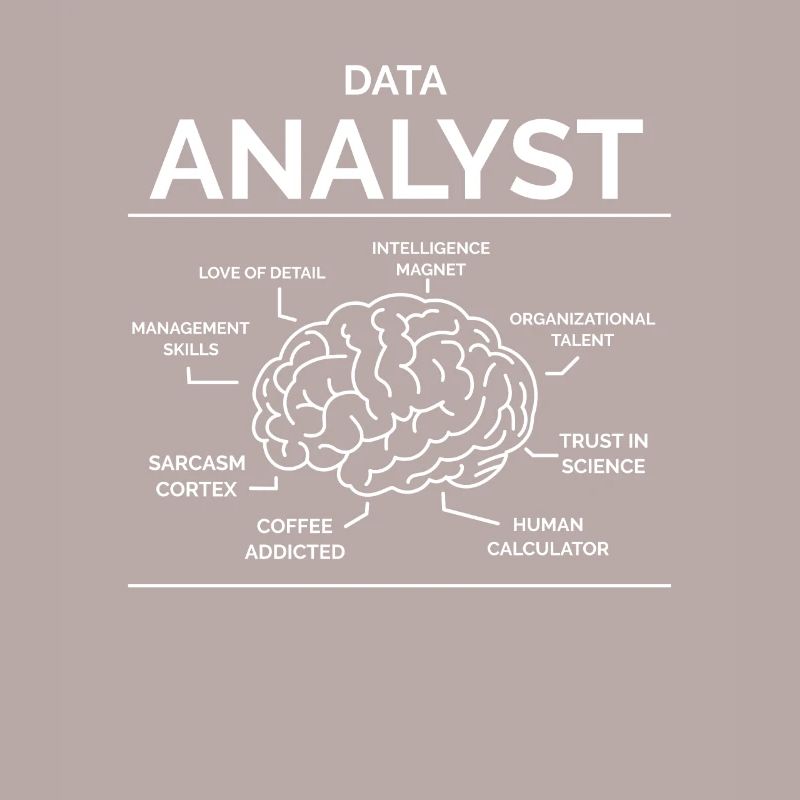 Data Analyst