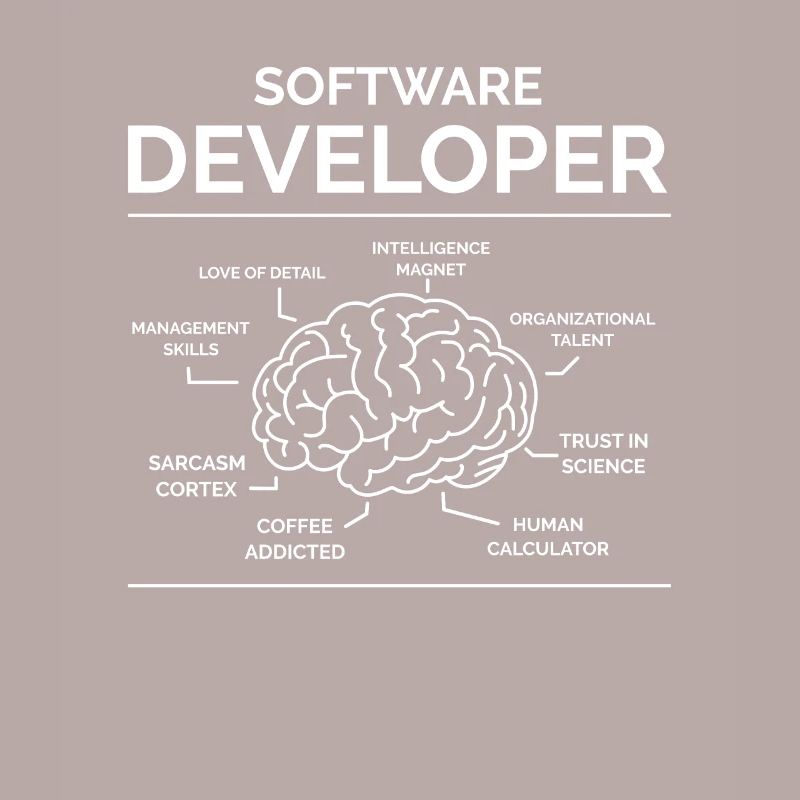 Software Entwickler