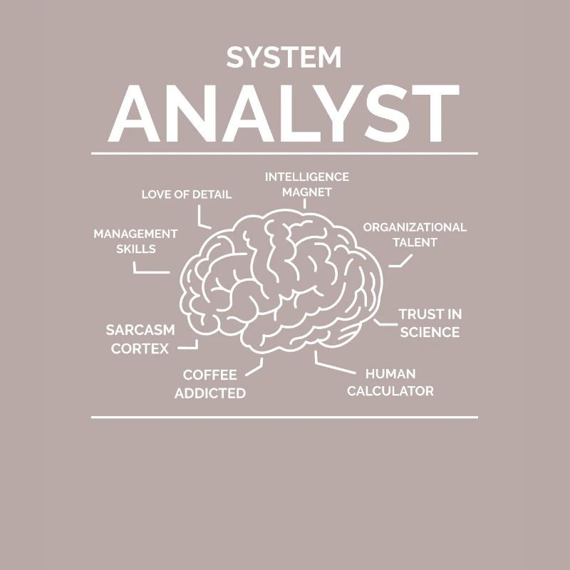 Analyste de systèmes