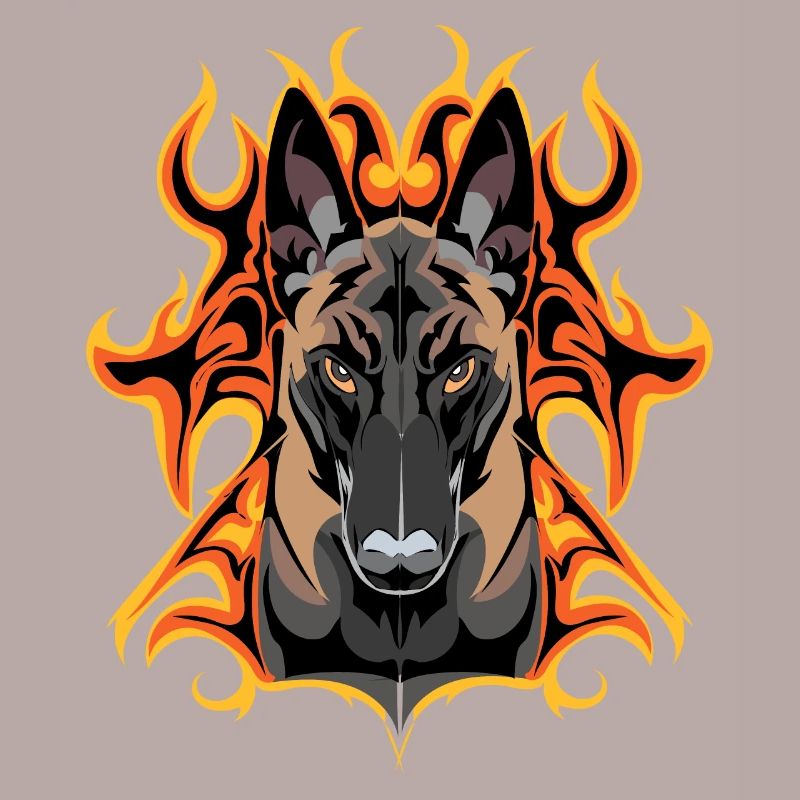 flash malinois