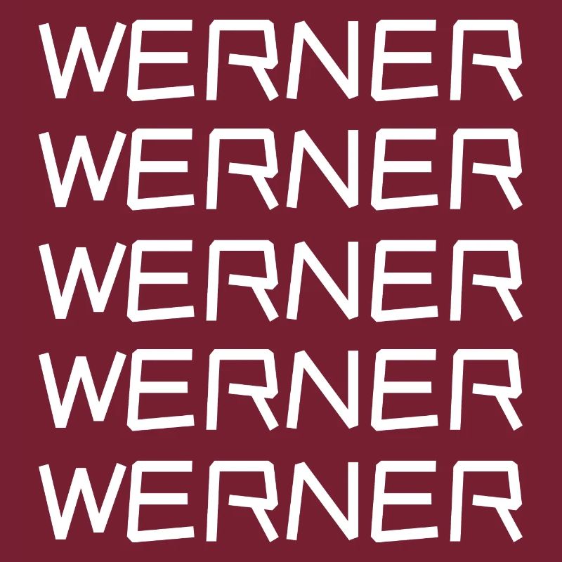Bachelor Werner