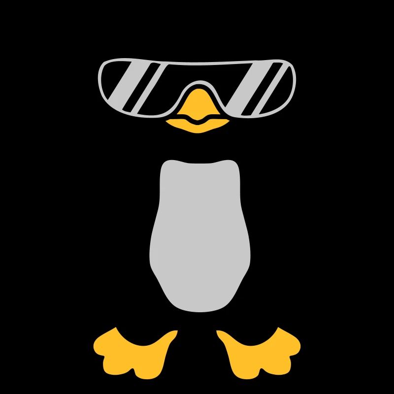 Lunettes de soleil Penguin cool design