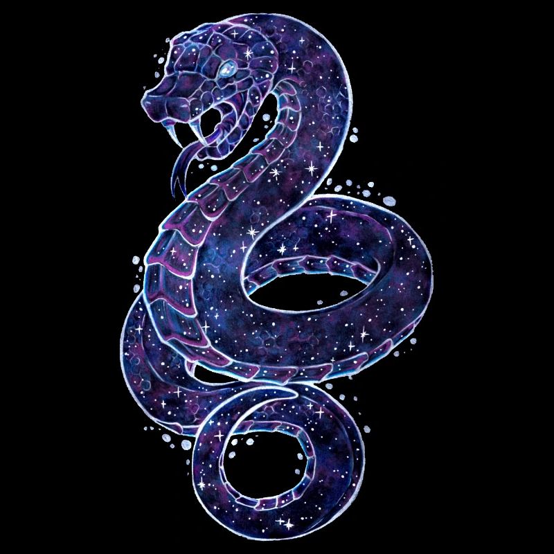 Cool Galaxy Schange Reptil Galaxytier Sternzeichen