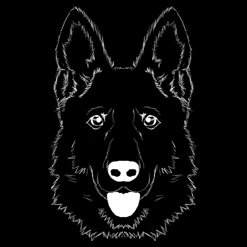 Deutscher Schäferhund Kopf, weiß, niedlich