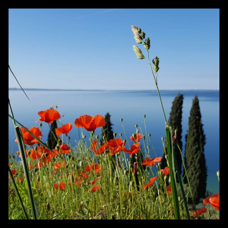 Lac de Garde